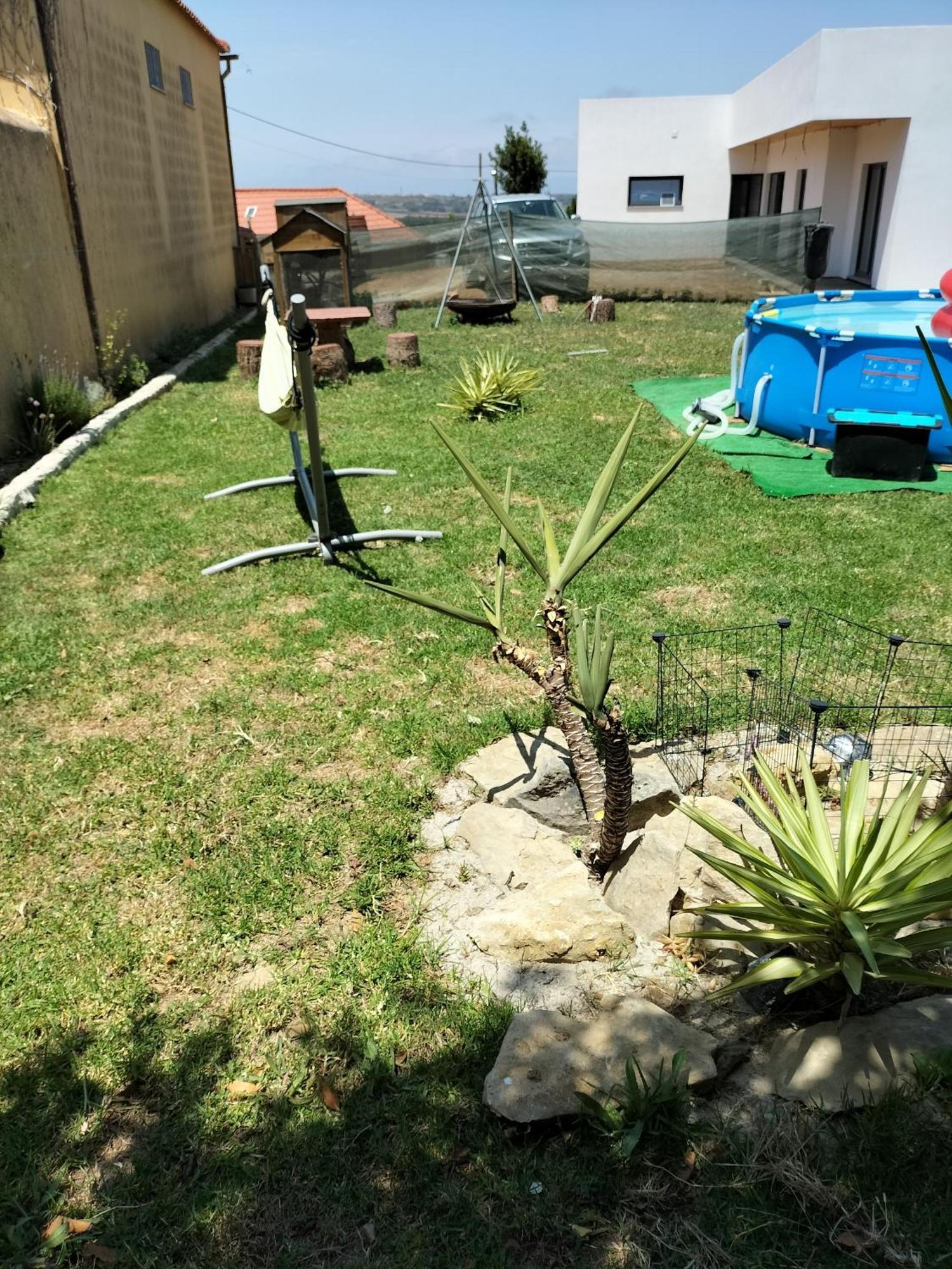 Penzion Dinocamp Lourinhã Exteriér fotografie