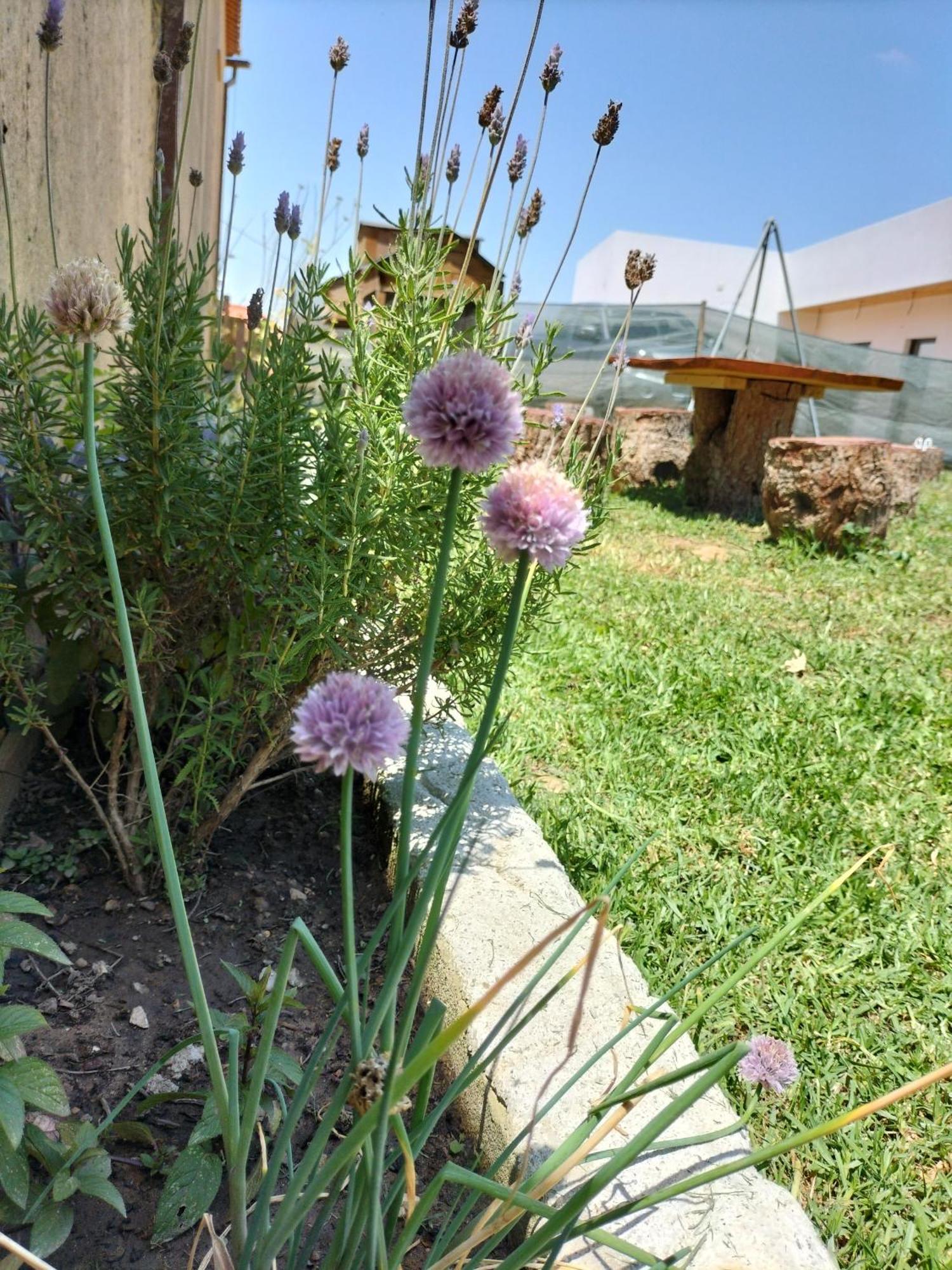 Penzion Dinocamp Lourinhã Exteriér fotografie